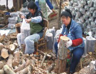 ���x��(y��u)�|(zh��)��ľ